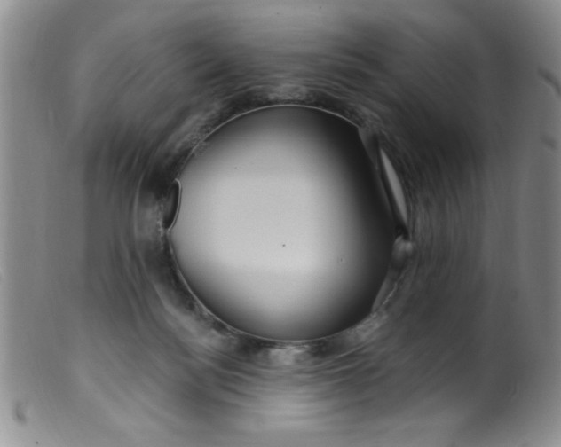 X0000099480172200805231904