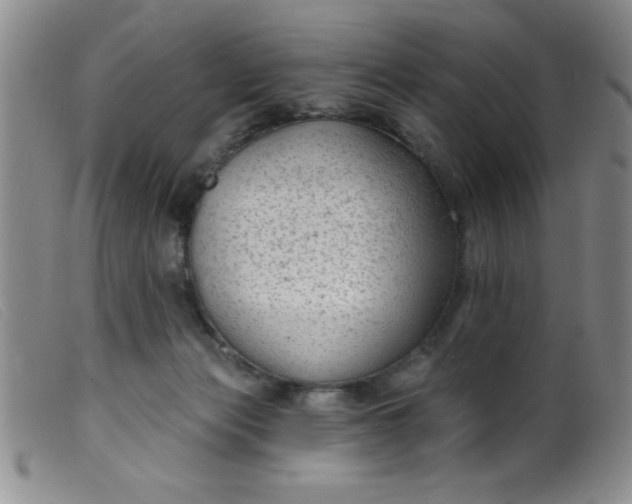 X0000099480173200805231904