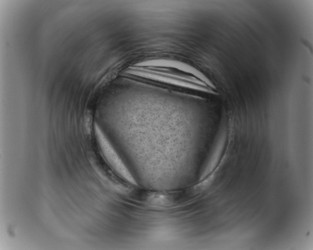 X0000099480174200805231904