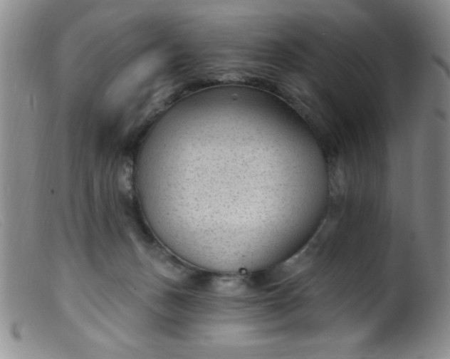 X0000099480175200805231904