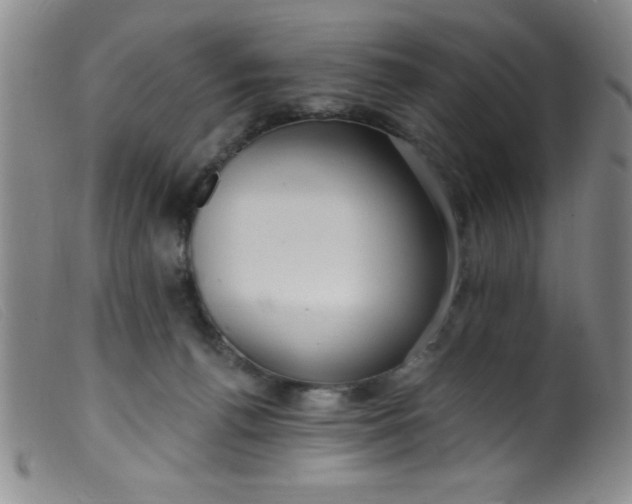 X0000099480176200805231904