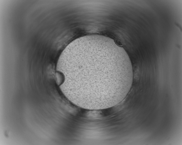 X0000099480179200805231904