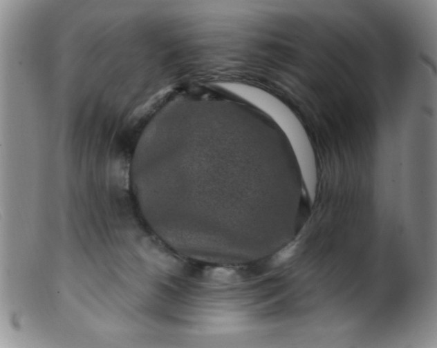 X0000099480180200805231904