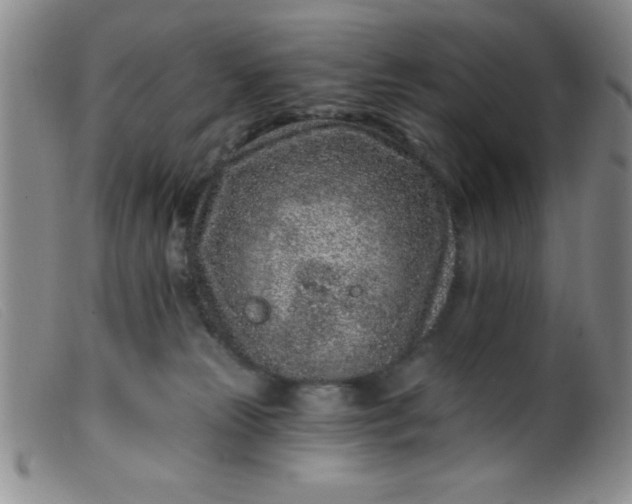 X0000099480181200805231904