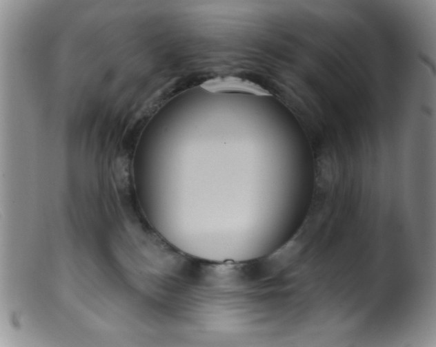 X0000099480184200805231904