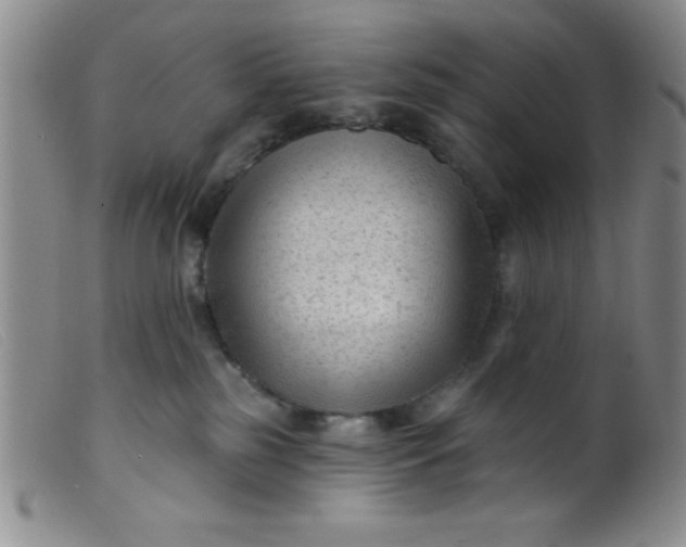 X0000099480185200805231904