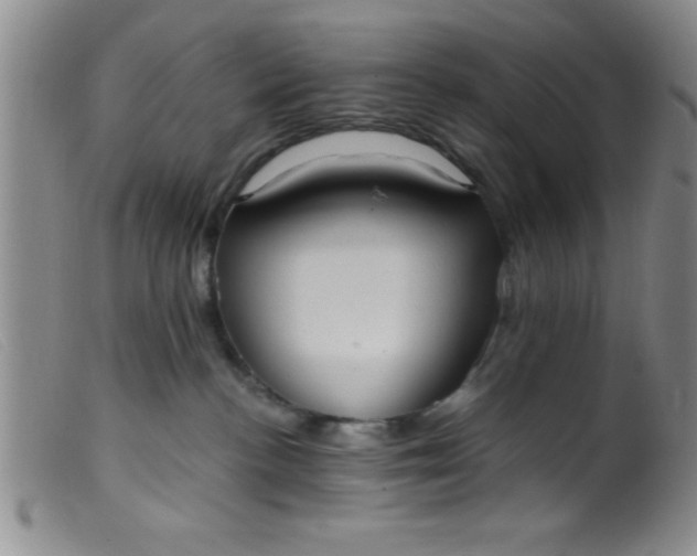 X0000099480188200805231904