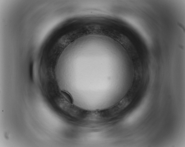 X0000099480189200805231904