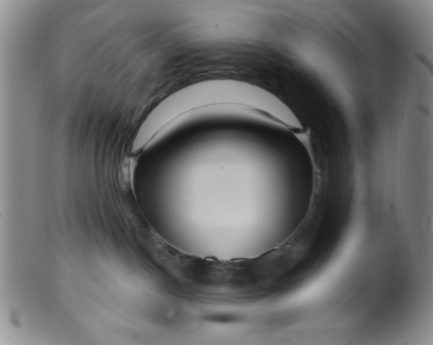 X0000099480190200805231904