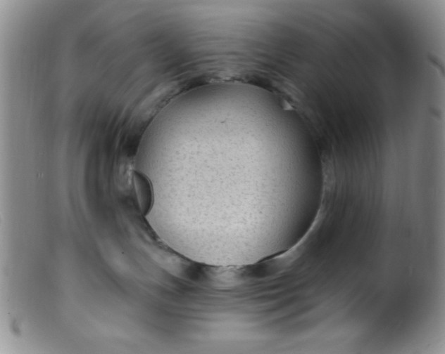 X0000099480191200805231904