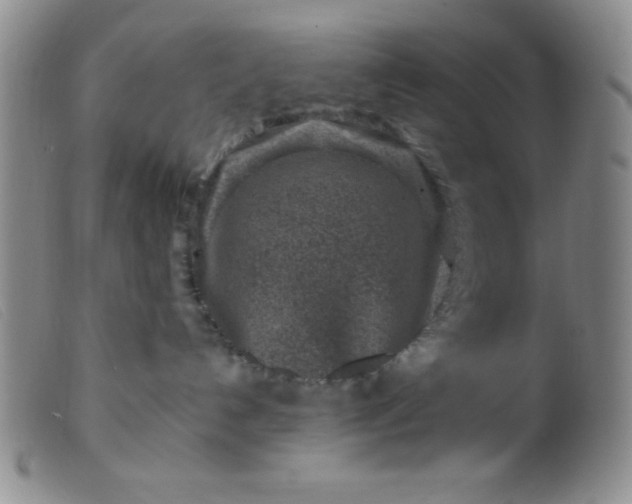 X0000099480192200805231904