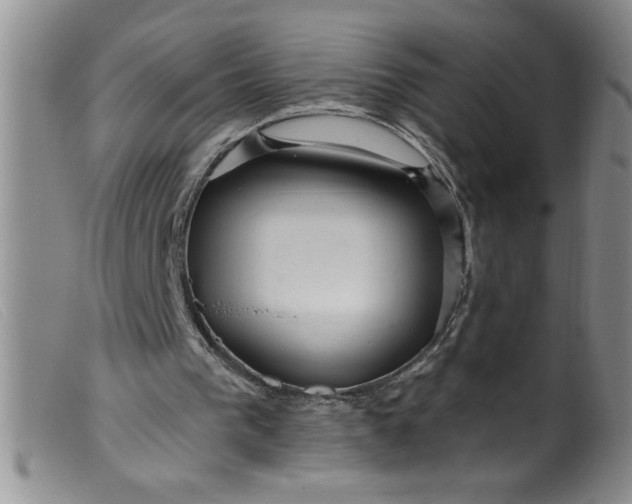 X0000099480193200805231903