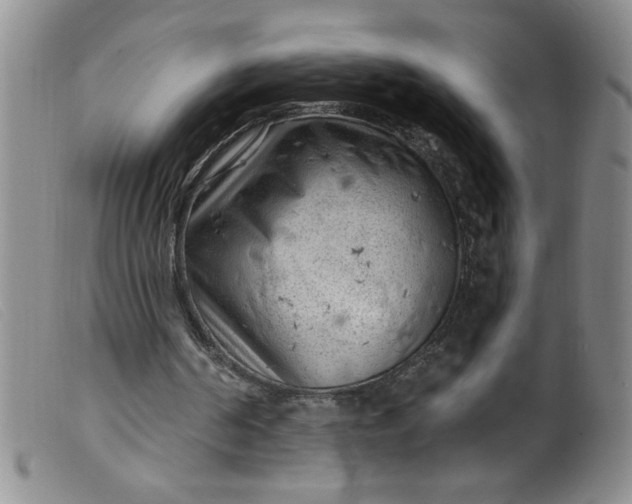 X0000099480194200805231903