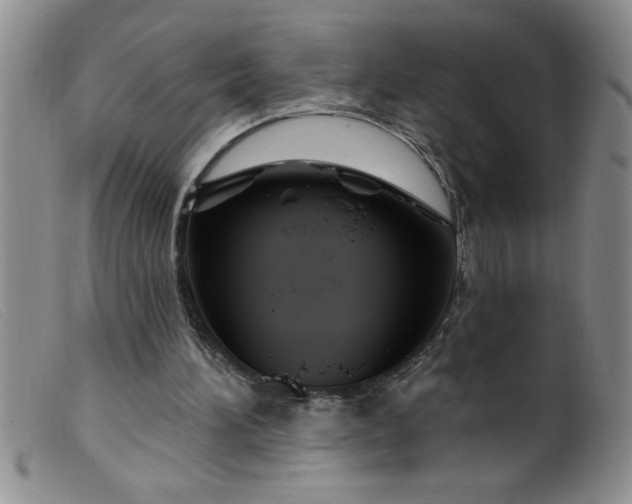 X0000099480196200805231903