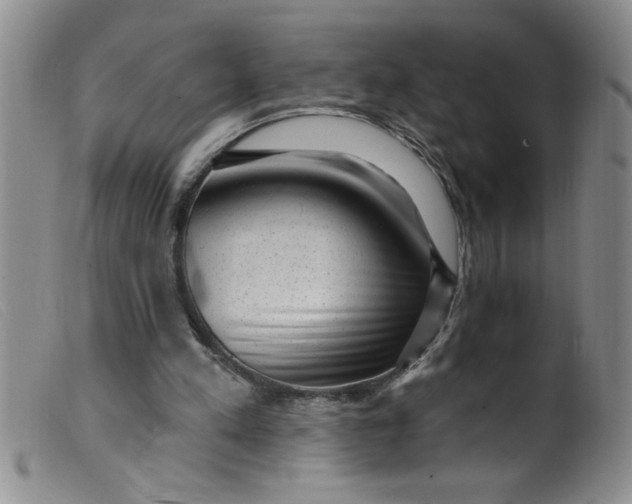 X0000099480197200805231903