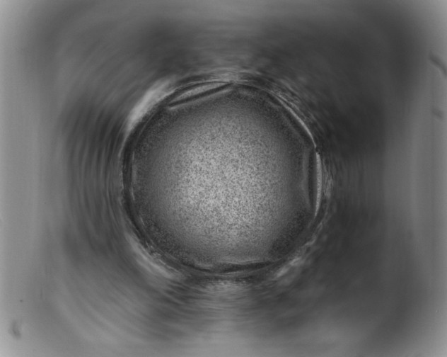 X0000099480198200805231903