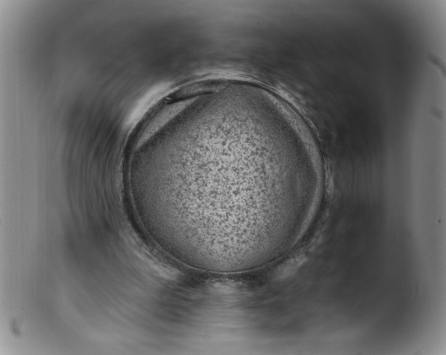 X0000099480199200805231903