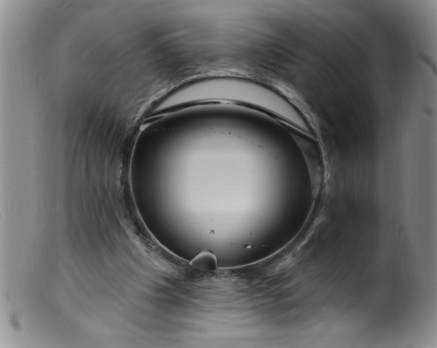 X0000099480201200805231903