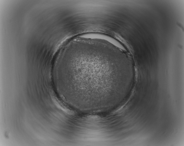 X0000099480203200805231903