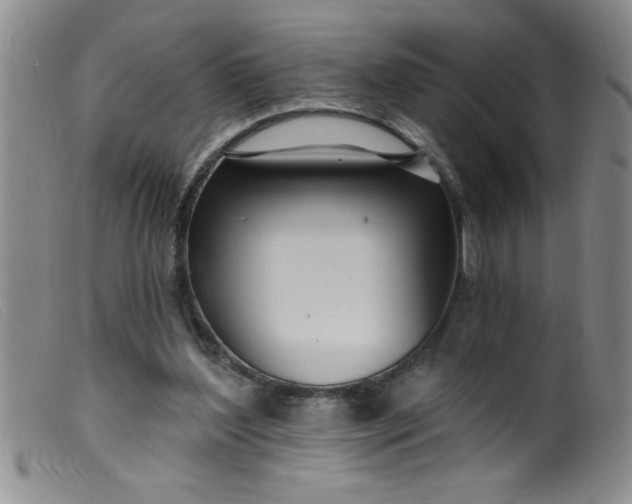 X0000099480204200805231903