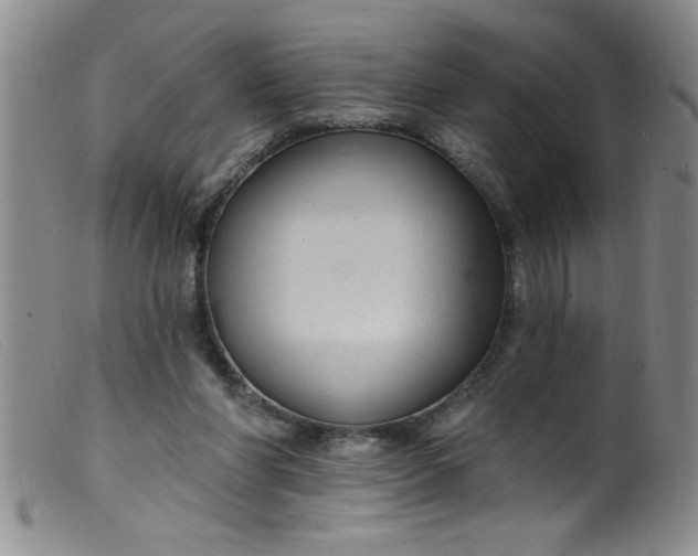 X0000099480206200805231903