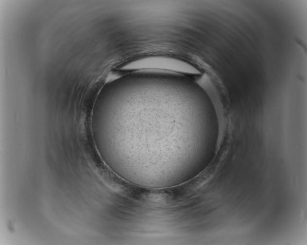 X0000099480209200805231903