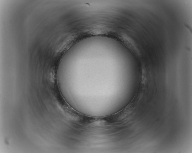 X0000099480210200805231903