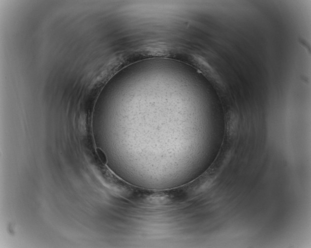 X0000099480213200805231903