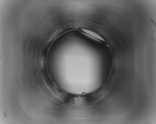 X0000099480216200805231903