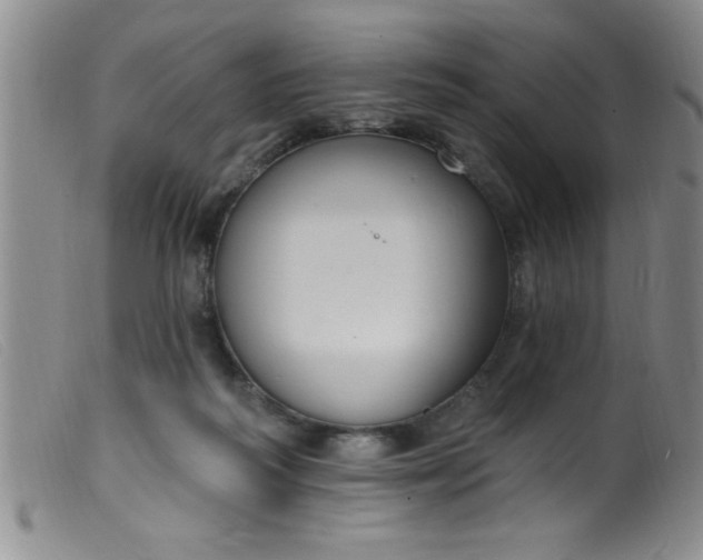 X0000099480218200805231903