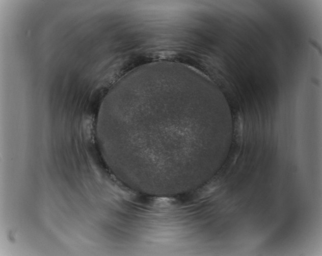 X0000099480222200805231903