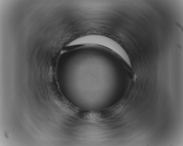 X0000099480223200805231903