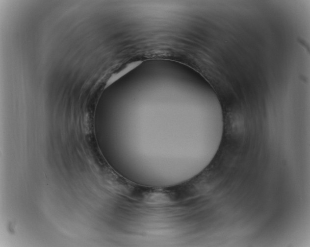 X0000099480224200805231903