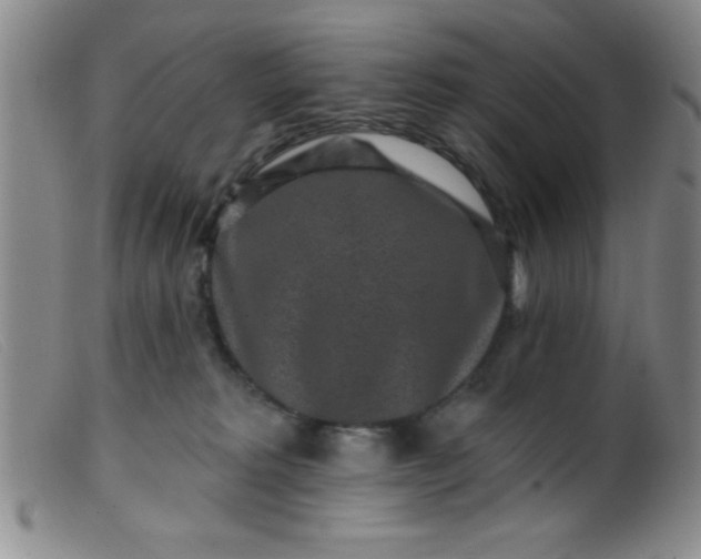 X0000099480229200805231903