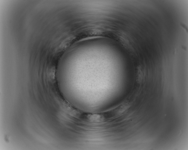 X0000099480230200805231903