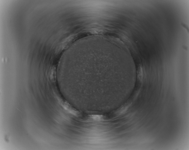 X0000099480233200805231903