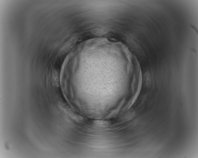 X0000099480234200805231903