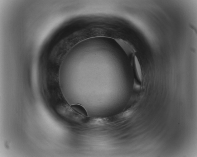 X0000099480239200805231903