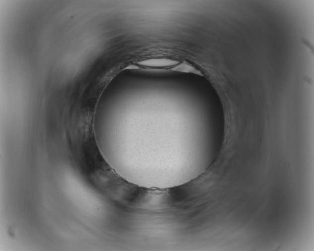 X0000099480240200805231903