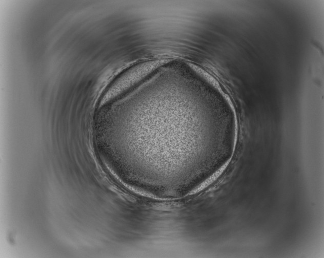 X0000099480241200805231902