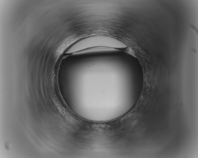 X0000099480242200805231902