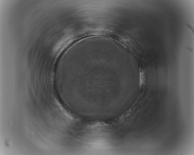 X0000099480243200805231902