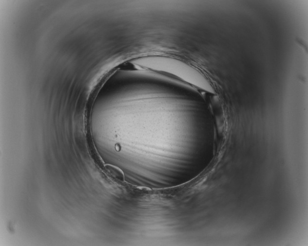 X0000099480244200805231902