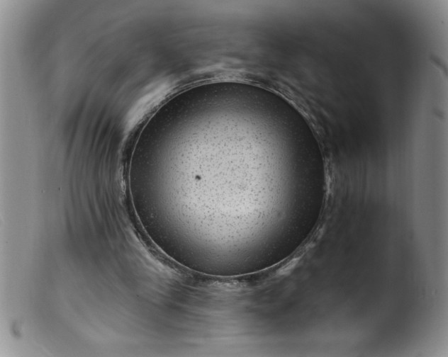 X0000099480245200805231902