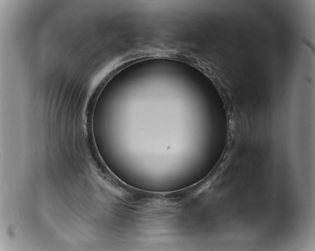 X0000099480246200805231902