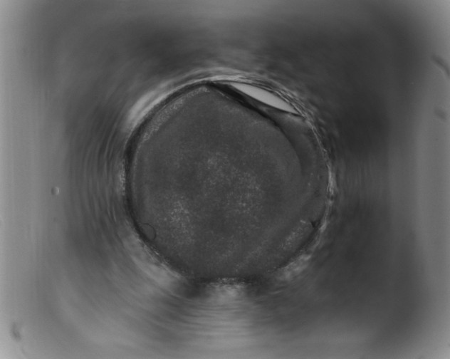 X0000099480247200805231902