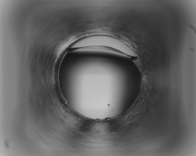 X0000099480248200805231902