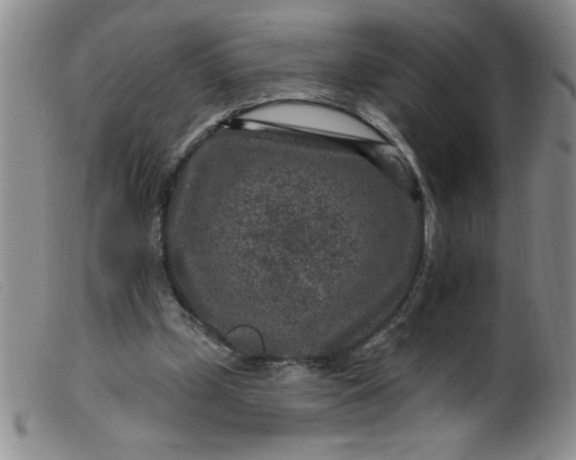 X0000099480249200805231902