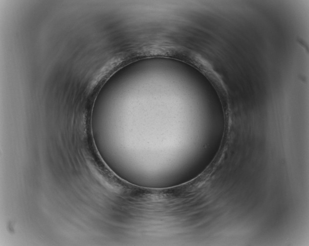 X0000099480250200805231902