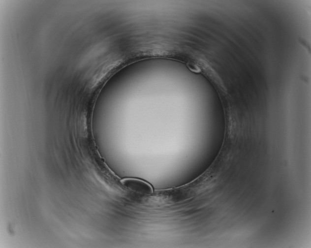 X0000099480251200805231902